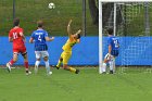 Men’s Soccer vs WPI  Wheaton Men’s Soccer vs Worcester Polytechnic Institute. - Photo by Keith Nordstrom : Wheaton, Men’s Soccer